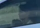 Femeie judecată aspru după ce a condus cu un copil în brațe pe o șosea din România. Imaginile au devenit virale