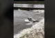 Un bărbat a făcut surf pe un râu, în mijlocul inundațiilor - VIDEO