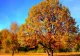Prognoza meteo pentru 22 septembrie: Temperaturi de până la 28 de grade Celsius în anumite regiuni. Revine vara în România