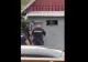 Ursul care a provocat teroare în Neamț a fost ucis. Oamenii condamnă gestul autorităților - VIDEO