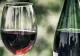 Seceta din 2024 afectează producția de vin din acest an: fenomen surprinzător