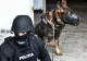 Operaţiuni ilegale cu arme de foc militare: percheziţii într-un dosar privind nerespectarea regimului armelor şi muniţiilor şi uz de armă fără drept