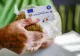 Amenzi uriașe pentru beneficiarii cardurilor de alimente: greșeala pe care o fac persoanele nevoiașe