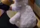 Dealerii de droguri nu au limite! 5 kilograme de stupefiante, ascunse printre jucării, într-un colet trimis din Spania la Brăila