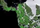 Antarctica înverzește! Dezastru la nivel global: avertismente dure din partea specialiștilor