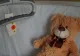 Centrele groazei, din Mureș. Amenzi uriașe după ce copiii cu dizabilităţi au fost ţinuţi în condiţii insalubre şi hrăniţi cu mâncare expirată