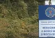 "Miracol" cu iz penal la DGASPC Vaslui. 50 de angajați au certificate de handicap, inclusiv "nevăzători" cu permis de conducere