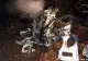 Tragedie aviatică, în Rusia. Un elicopter s-a prăbușit, toți cei 4 ocupanți au murit pe loc