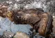 Rămășițele unui alpinist mort pe Everest, descoperite după 100 de ani. Cum a fost identificat? - FOTO