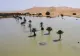 Inundații în Deșertul Sahara – Fenomene meteorologice extreme în unul dintre cele mai aride locuri din lume