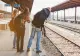 Ce au descoperit oamenii legii după ce o tânără a fost dată dispărută de familie. Fata de 18 ani era plecată cu iubitul ei