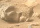 Urme impresionante pe Marte: O rocă asemănătoare unui cap uman descoperită de cercetători