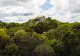 Un oraș antic, de mărimea Bucureștiului, a fost descoperit din întâmplare în jungla mexicană