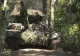 Armata rusă a lansat o contraofensivă puternică în Kursk. Trupele lui Putin au recuperat controlul asupra a cinci localităţi