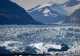 Virusuri mamut descoperite pe calota glaciară a Groenlandei. Ce se întâmplă în cazul unui dezgheț masiv?