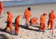 Invazia bilelor negre ia amploare. Autoritățile din Australia au închis alte plaje după aparițiile misterioase