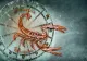 Horoscop. Lună Nouă în Scorpion, aducătoare de noroc. Ce se va întâmpla cu fiecare zodie și cum putem beneficia de energia mistică a acestei perioade