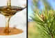 Sirop de tuse preparat în casă, din ACE DE PIN. Un remediu care nu trebuie să-ți lipsească din cămară