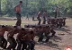 Război în Ucraina. Militari din Coreea de Nord așteaptă să intre în luptă, alături de ruși, pe frontul de la Kursk