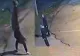 Momentul în care un adolescent din Iași este electrocutat, după ce s-a urcat pe un vagon de tren. Imagini șocante de pe camerele de supraveghere - VIDEO