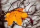 Prognoza meteo pe o lună: septembrie cu temperaturi nefirești. Când apar primele semne de toamnă autentică