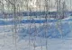 Prognoza meteo, 4 ianuarie. Iarna a pus stăpânire pe țară. Unde va ninge viscolit