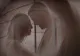 Culiță Sterp s-a căsătorit în secret și așteaptă deja al doilea copil. Modul în care a făcut anunțul i-a surprins pe fani - VIDEO 
