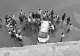 Accident FATAL în urma unor informații greșite transmise de GPS. Trei oameni care mergeau la o nuntă au murit
