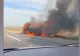 Un camion încărcat cu lemne s-a făcut scrum pe DN24, în județul Vaslui. Imagini șocante