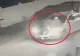 Adrenalină, cu riscuri uriașe. Tineri filmați pe capota unei mașini în mișcare, la Bacău. La Oradea, doi adolescenți s-au agățat de un tramvai VIDEO