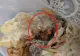 Kebab cu fire de PĂR, vândut la un fast-food din Năvodari - FOTO