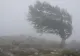 Prognoza meteo 27 noiembrie. Avertizări COD GALBEN de vreme severă în zeci de localități