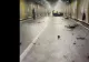 Accident rutier în Pasajul Unirii din Capitală! Un tânăr de 23 de ani a pierdut controlul volanului
