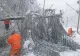 Haos pe mai multe drumuri naționale. Mai mulți copaci, victimele vântului puternic și ninsorilor