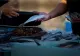 Alertă ANPC pentru cumpărături în perioada postului: Atenție mare la calitatea produselor din PEȘTE