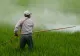 România folosește pesticide interzise în Europa! Ce spun experții