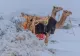Prima ninsoare în deșertul din Arabia Saudită: Fenomenul rar care surprinde localnicii și animalele în locul unde se înregistrează și 55 de grade Celsius