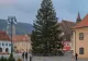 În ce oraș va fi amplasat cel mai mare brad de Crăciun anul acesta. Are 29 de metri și cântărește 17 tone! FOTO