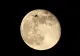 Când este vizibilă ultima super-Lună din acest an? Mai este numită și "Luna castorului"
