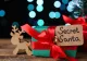 Cadoul de Secret Santa pentru colegii de birou: cum te încadrezi într-un buget rezonabil
