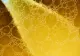 Cum să prepari supa de pui ca să rămână limpede. Secretul pe care-l foloseau bunicile. Ingredientul care o va face transparentă și îi va da o culoare aurie
