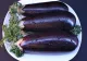 Cum se păstrează CORECT vinetele la congelator. Evită această greșeală ca să scapi de gustul AMAR