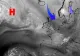 Alertă de furtuni polare în întreaga Europă. Vortexul nu va ocoli nici România, ce zonă este vizată?
