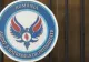 Directorul general adjunct al Poliției Capitalei, găsit în incompatibilitate de ANI
