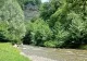 Specia preistorică ce trăiește doar în România. Este considerată un adevărat miracol al naturii