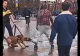 Sidepol reclamă reorganizarea Poliţiei Canine. Mesajul tranșant postat pe Facebook