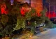Vântul a făcut prăpăd în Piatra-Neamț: mai multe mașini au fost distruse de arborii doborâți. Oamenii, avertizați prin RO-Alert