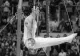 Campionul Dan Grecu s-a stins din viață. A făcut istorie în gimnastică