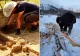 Descoperire uimitoare în Rusia: Cercetătorii au găsit o fereastră către trecut