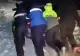 O familie cu un bebeluș de 2 ani, salvată din mașina blocată în nămeți. Jandarmii au intervenit la timp VIDEO